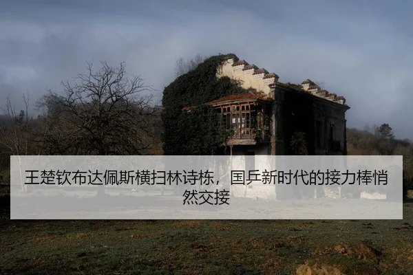wang-chu-qin-bu-da-pei-si-heng-sao-lin-shi-dong-guo-ping-xin-shi-dai-de-jie-li-bang-qiao-ran-jiao-jie-2-945.jpg