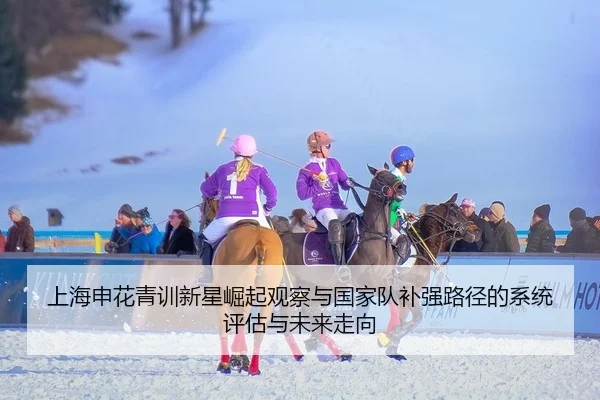 上海申花青训新星崛起观察与国家队补强路径的系统评估与未来走向