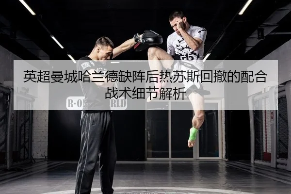 ying-chao-man-cheng-ha-lan-de-que-zhen-hou-re-su-si-hui-che-de-pei-he-zhan-shu-xi-jie-jie-xi-2-301.jpg